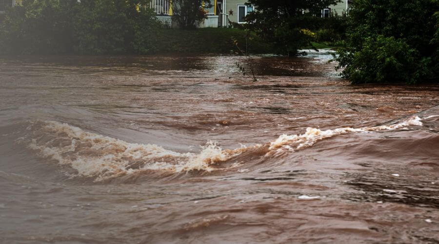 Why choose Water Damage Experts Delivering Fast and Reliable Restoration Services. for water damage restoration in Bon Secour, AL